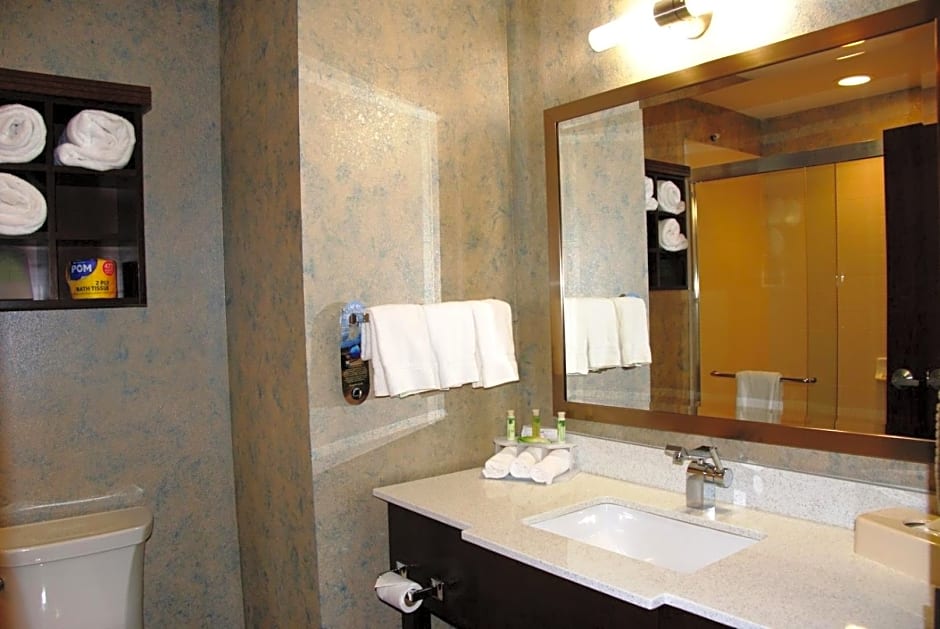 Holiday Inn Express & Suites St Louis Airport, an IHG Hotel By IHG