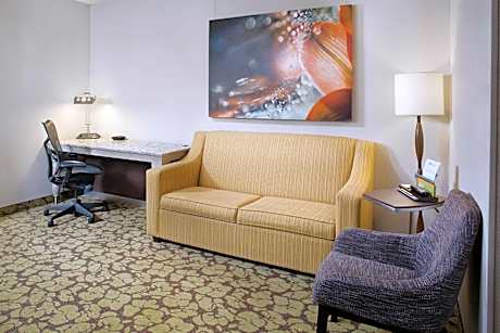 One-Bedroom King Suite with Twin Sofa Bed