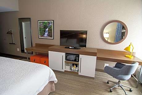 1 King Bed Shower Only Nonsmoking