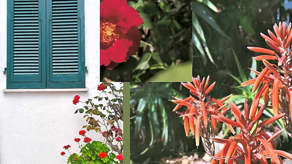 Hotel Scoglio Bianco