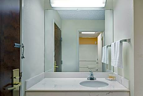 1 King Bed Non-Smoking