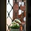 Terrazza Santa Chiara