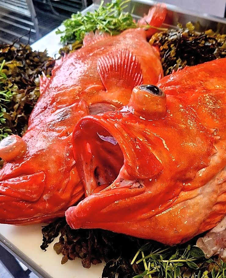 Vardø Hotel by Destination Vardø