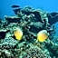 Mackerel Islands