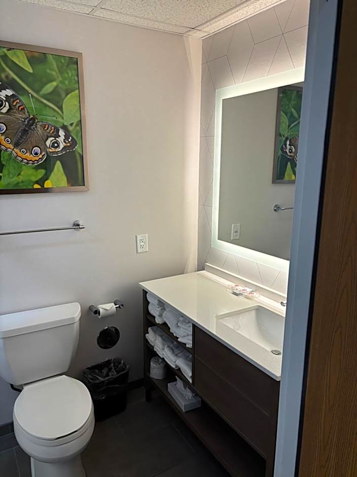 Comfort Suites Hotel and Conference Center