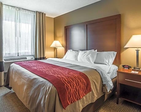 King Room with Sofa Bed