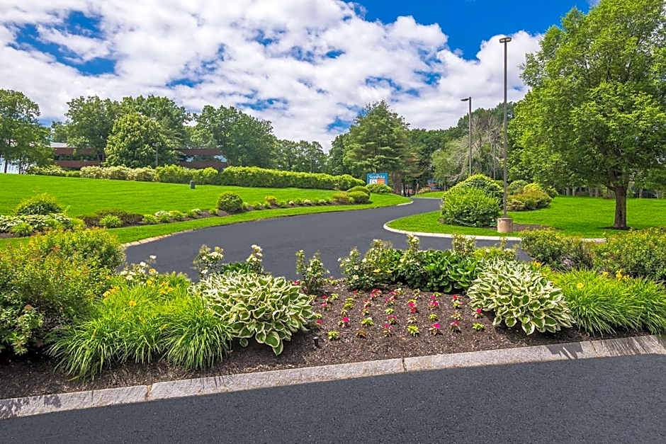 Sonesta ES Suites Andover Boston