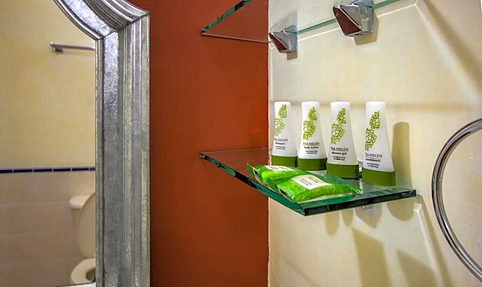 Hotel Casa Barrocco Oaxaca