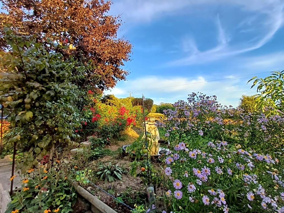 Chambres et table d'hôtes Floromel La Souterraine en rez de chaussee
