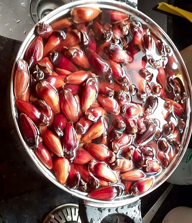 Pousada Pedra da Mata chales na montanha