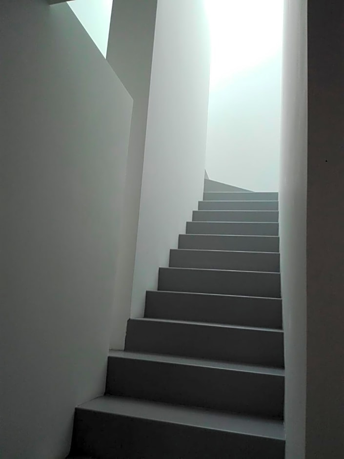 Patio 101 "Exclusive"