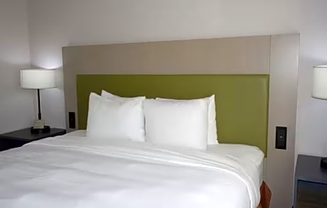 1 King Bed, Nonsmoking
