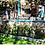 Sardunya Otel