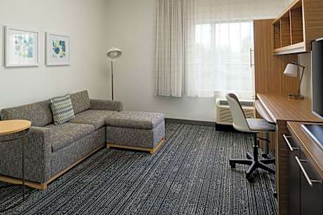 1 Bedroom Suite, 1 Queen, Sofa bed
