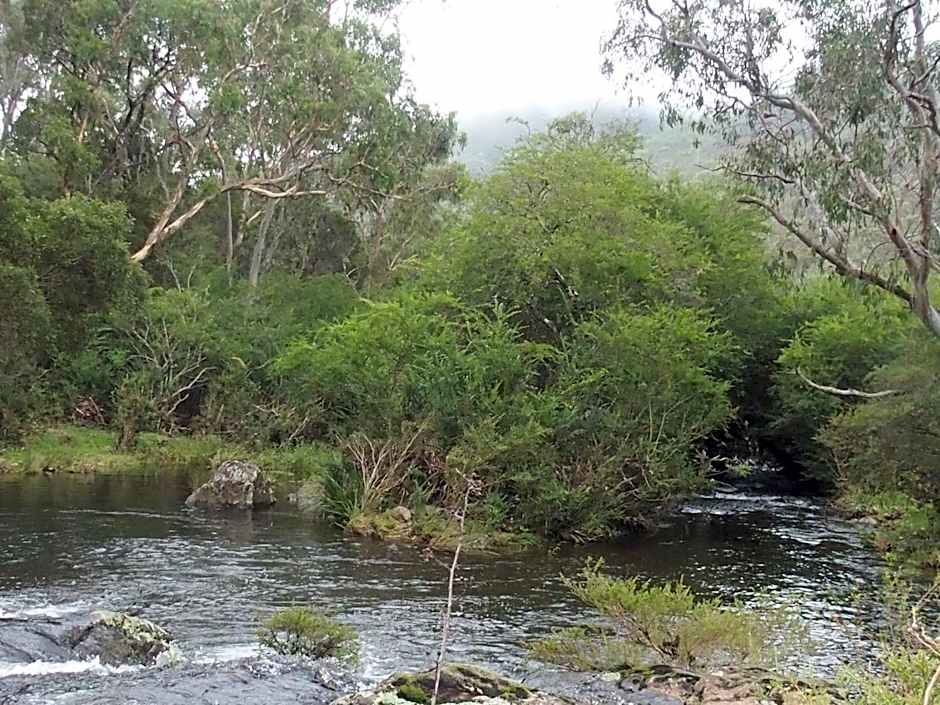 Dorrigo Bush Pepper Retreat