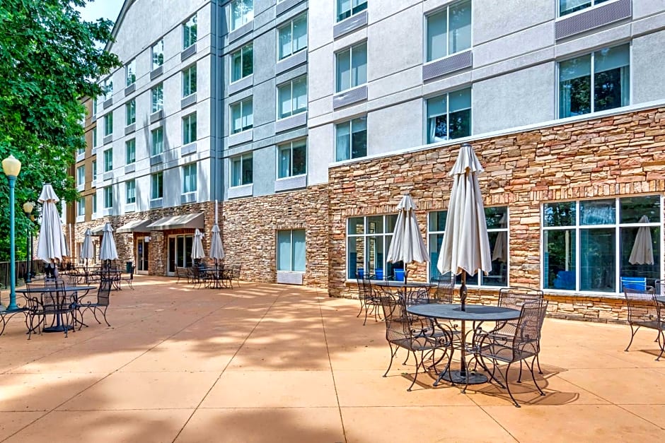 Hilton Garden Inn Atlanta Ne/Gwinnett Sugarloaf