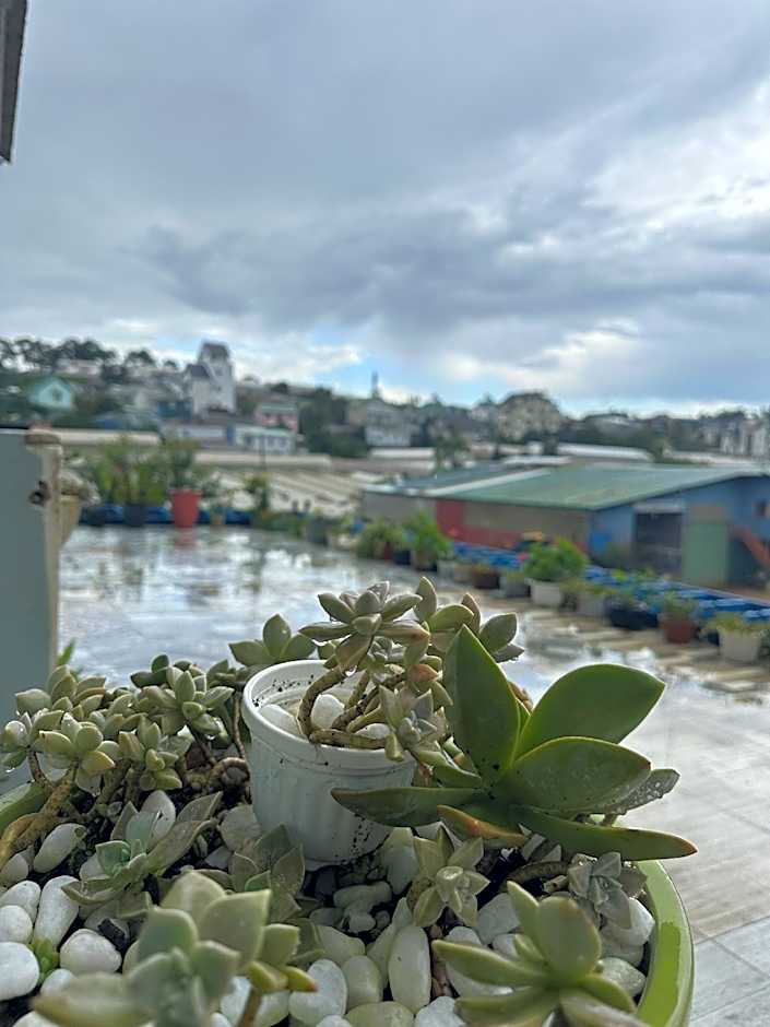 Cỏ Bốn Lá Homestay