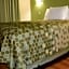 Econo Lodge Hot Springs
