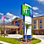 Holiday Inn Express Hotel & Suites Deer Park