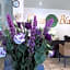Casa Blanca Boutique Hotel Phuket