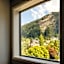 mi-pad Queenstown