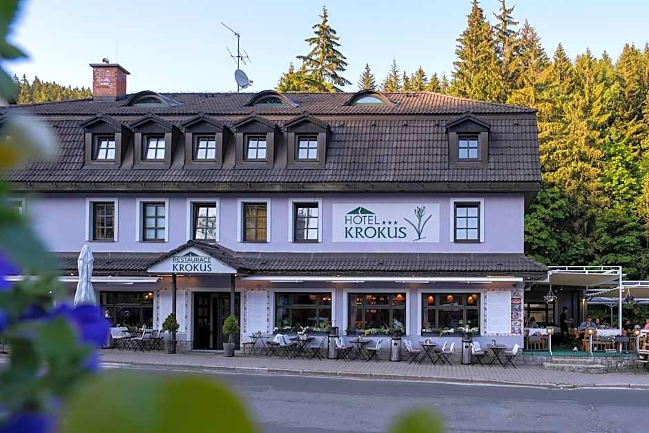 Hotel Krokus