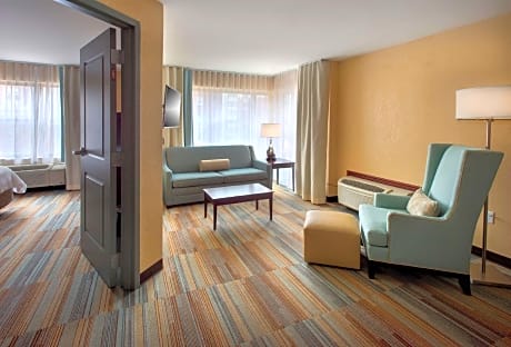 1 King Accessible 1 Bedroom Suite Roll In Shower