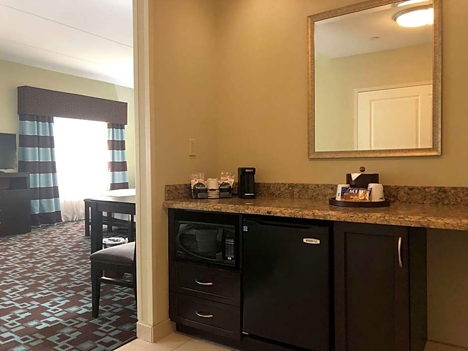 Hampton Inn By Hilton And Suites Nashville At Opryland