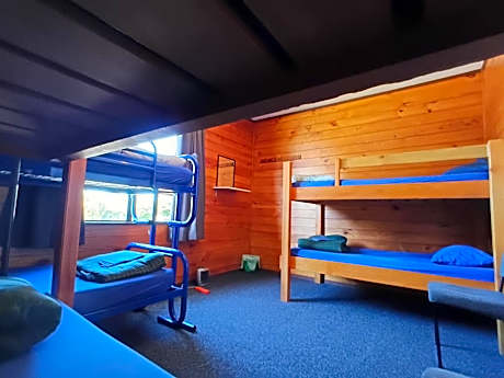 Bed in 6-Bed Mixed Dormitory Room