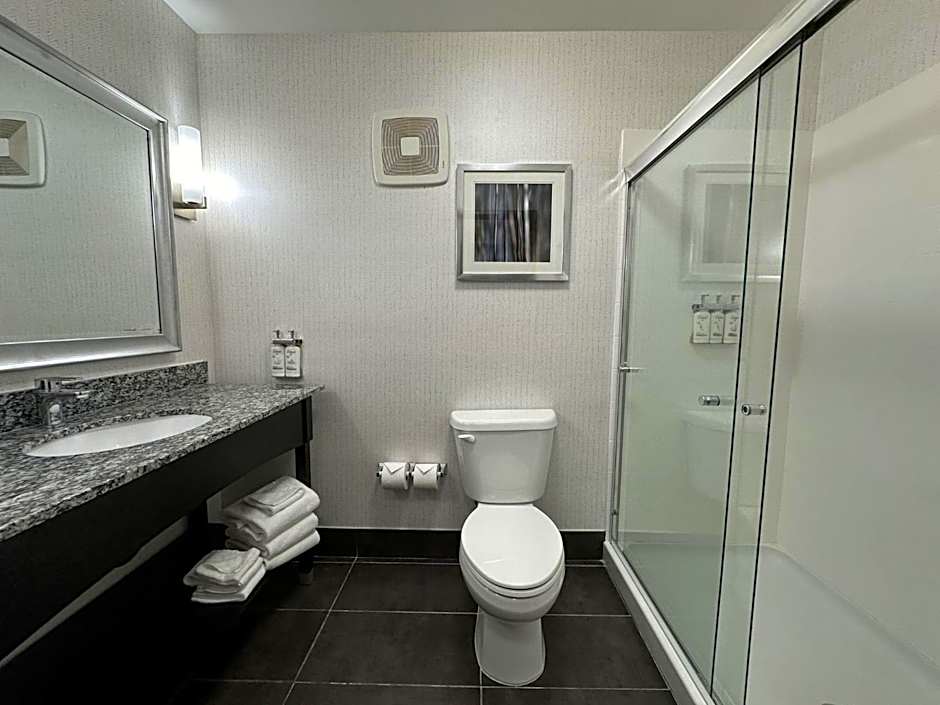 Holiday Inn Carlsbad/San Diego By IHG