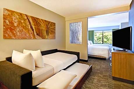 Double Suite with Sofa Bed