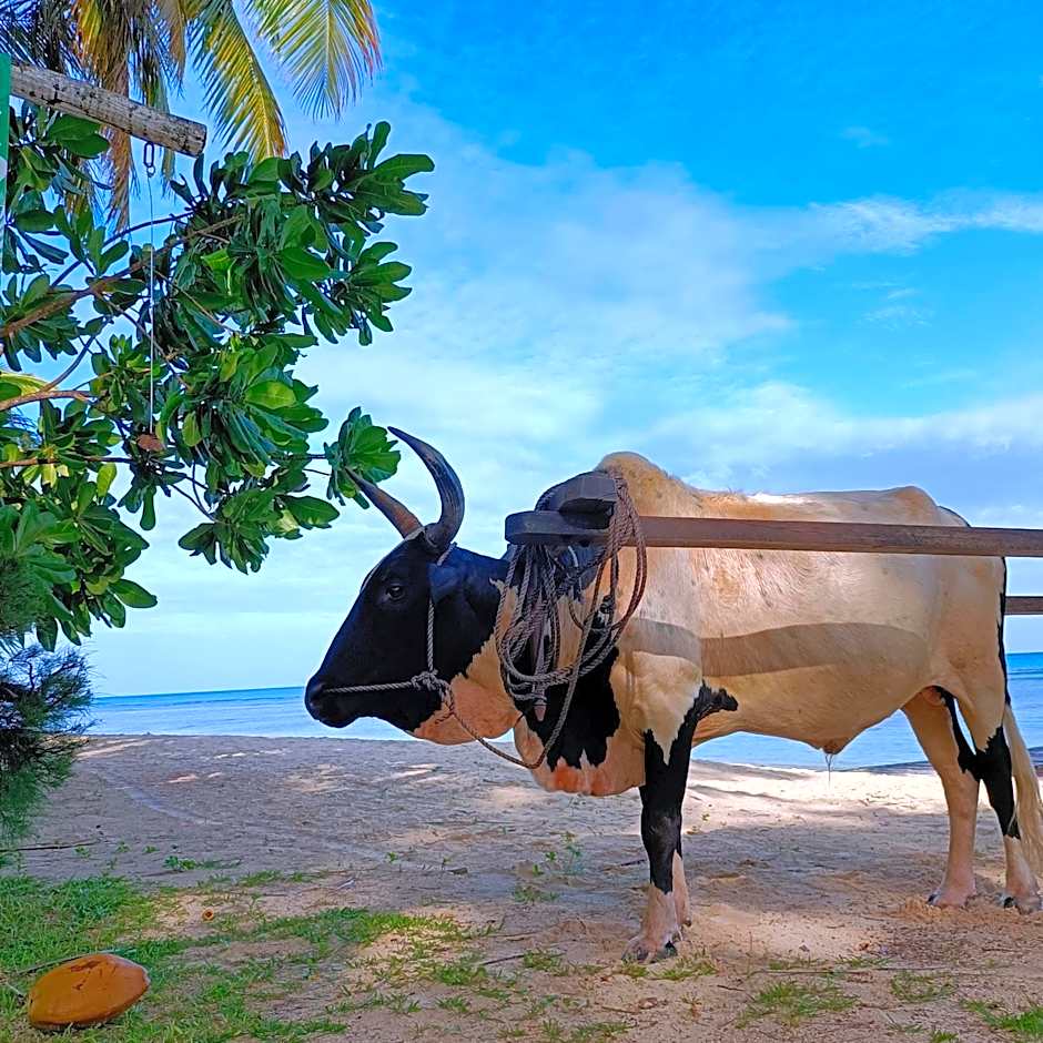 Princesse Bora Lodge & Spa