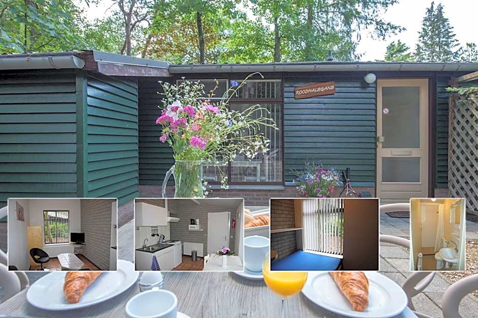 Vakantiepark Zevenbergen