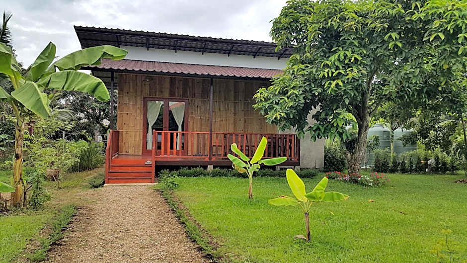 Chiang Dao Reset