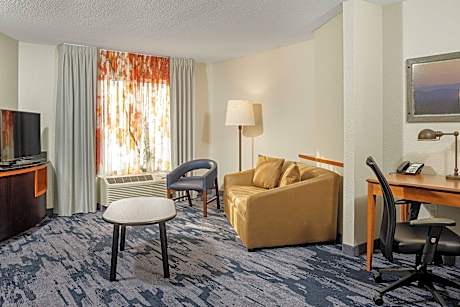 1 Bedroom Suite, 1 King, Sofa bed