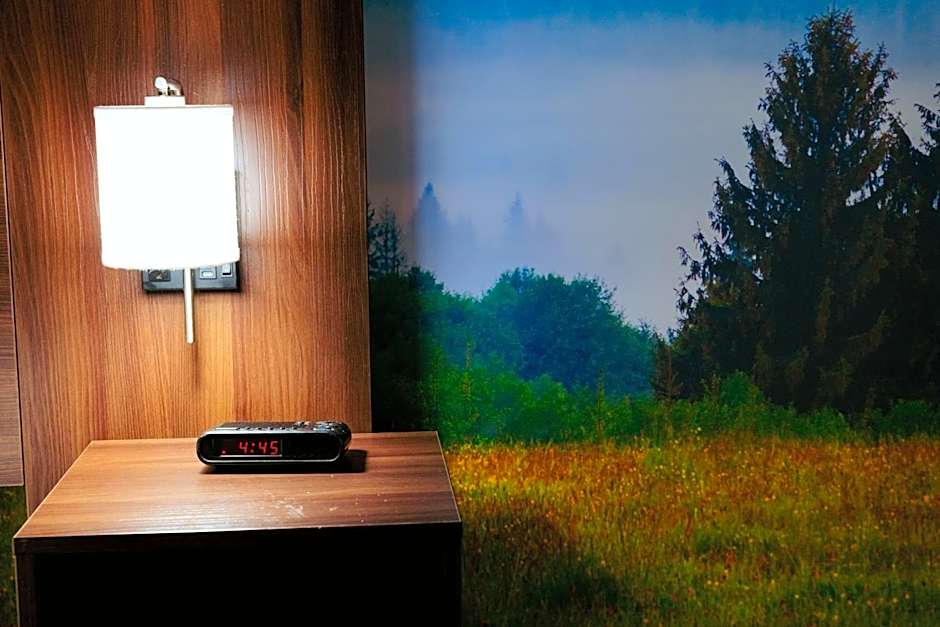 Clarion Pointe - Dillard near Blue Ridge Mountains