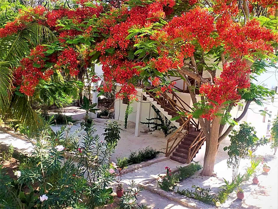 Kaure Sand Beach Lodge