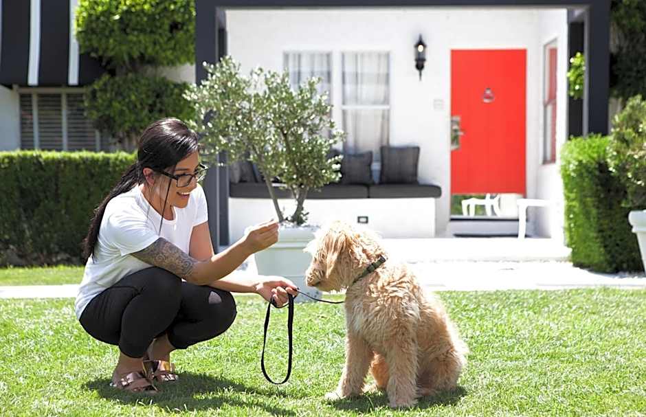 Avalon Hotel and Bungalows Palm Springs, a Member of Design Hotels