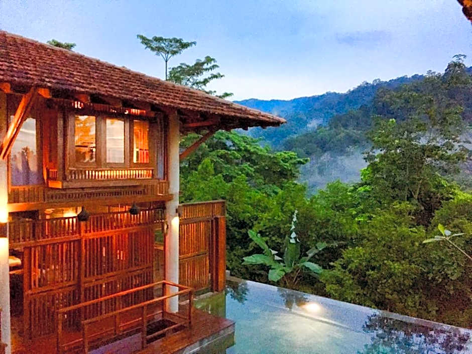 The Shorea