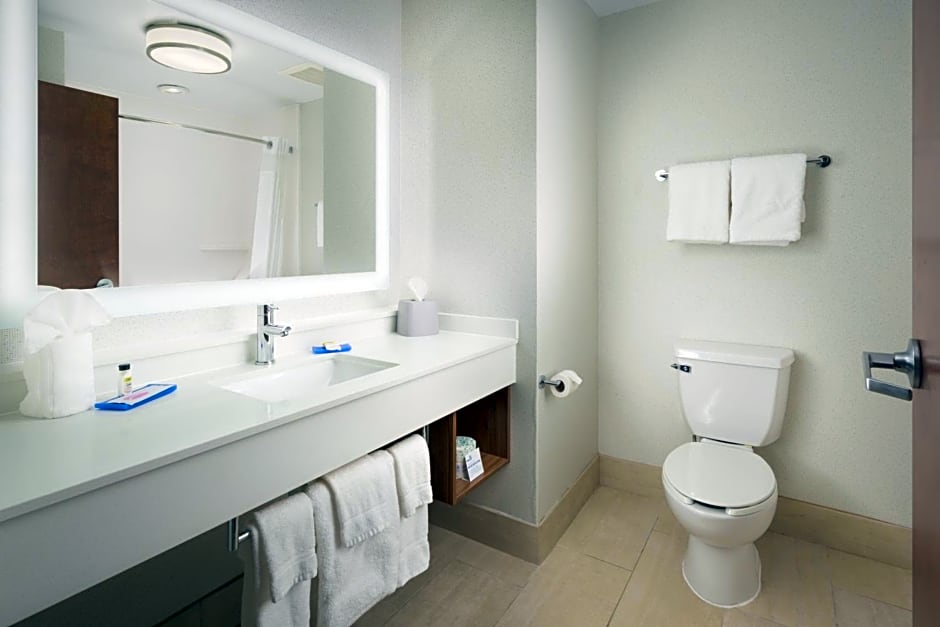 Holiday Inn Express Hotel & Suites Chattanooga Downtown By IHG