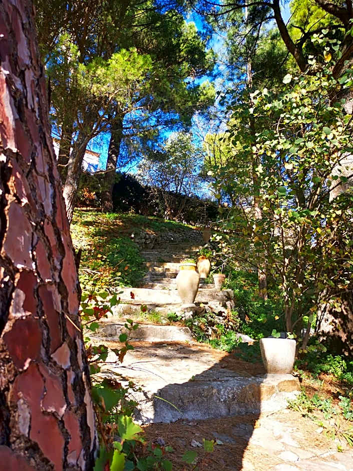 SESIMA turismo rurale