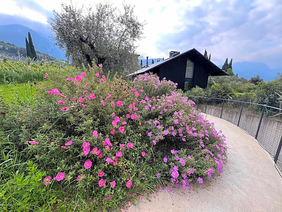 Da La Babi B&B