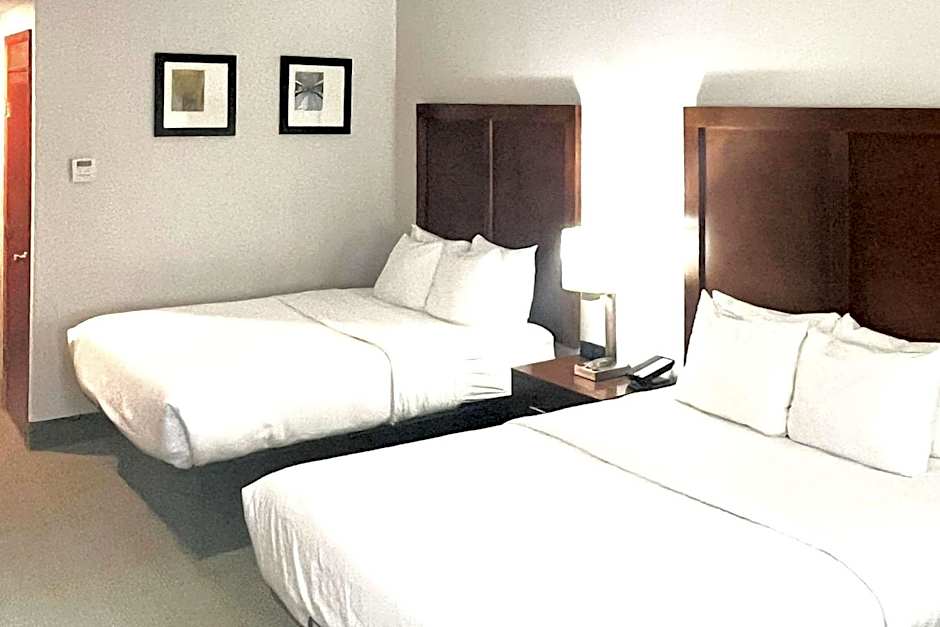 Comfort Inn & Suites Jackson North