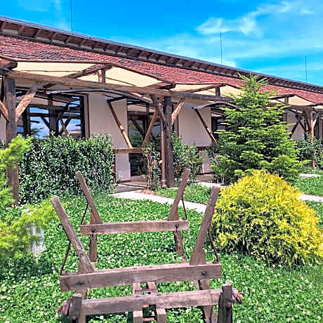 Double Room with Terrace and Vineyards View