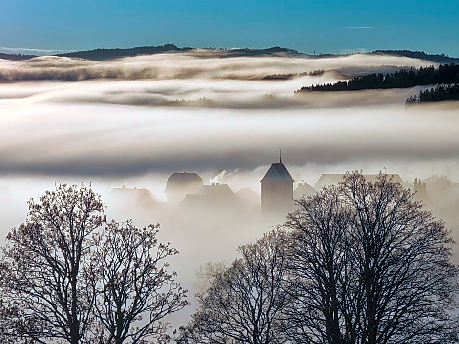 JUFA Hotel Schwarzwald