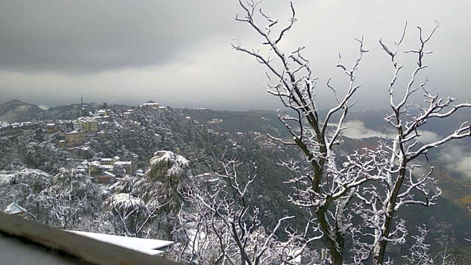 Hotel Amar Palace Shimla