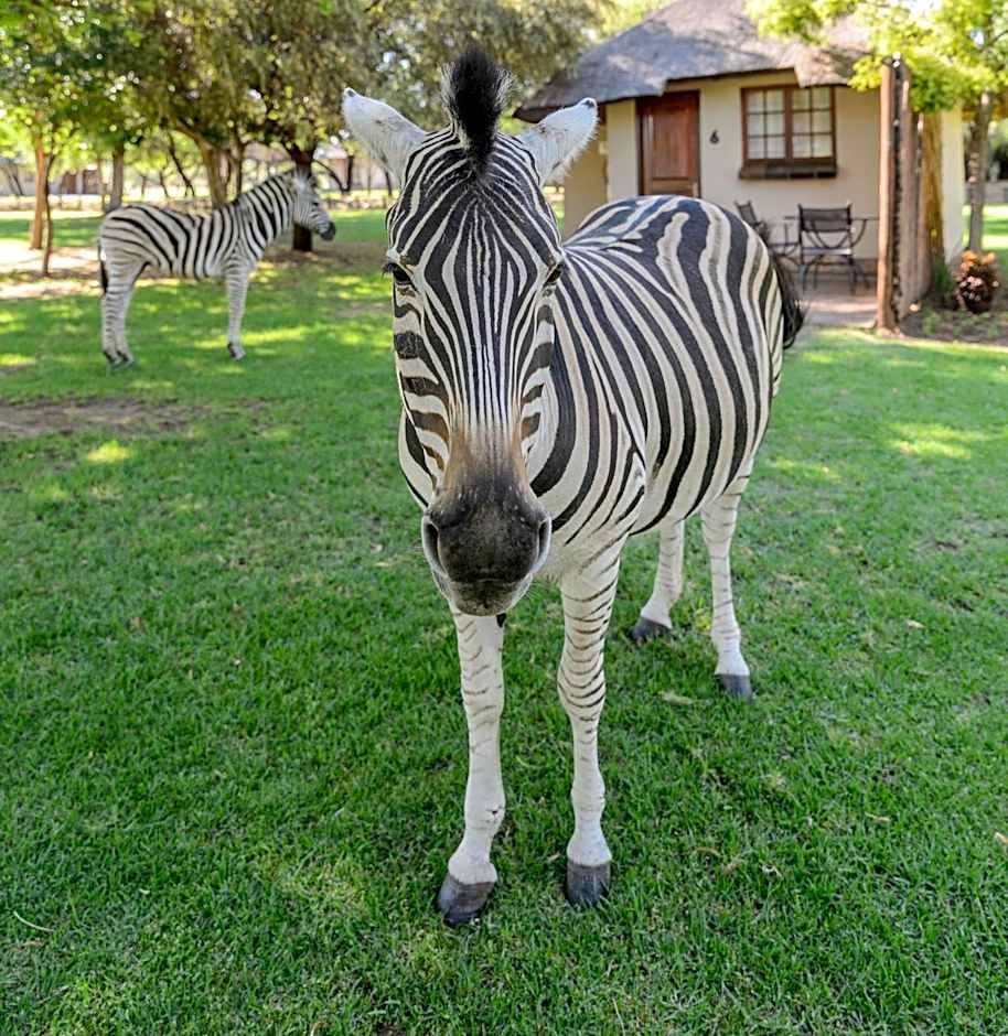 Mongena Private Game Lodge