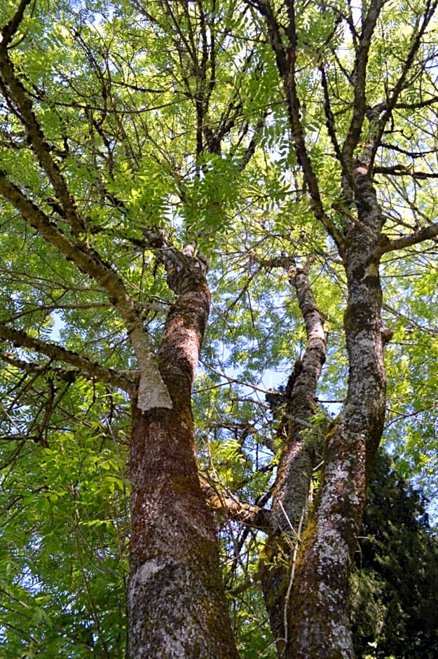 DUC MANOIR Chambres d'hôtes