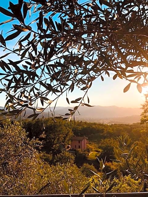 Locanda La Trigola
