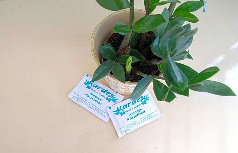 Vardes Hotel Studios